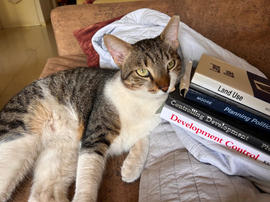 PLPR Cat